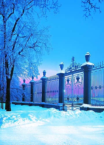 Открытка с видами (СПб) Зима.Решетка Летнего сада [SPB-042] 332269 — 1