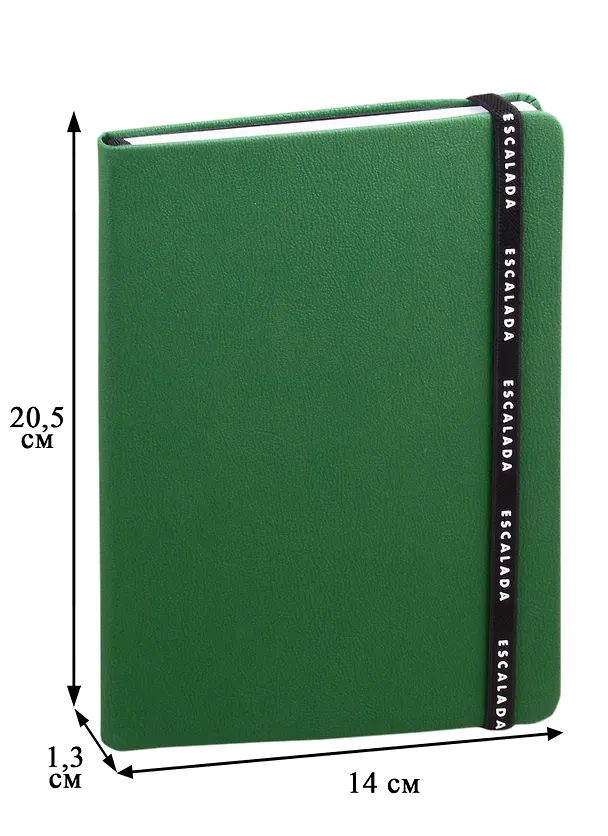 Книга для записей А5 96л кл. зелен.иск.кожа, интегр.переплет, резинка, ляссе, инд.уп. 255726 — 3