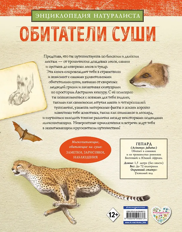 Книга Обитатели суши (Хуан Алонсо) — 2