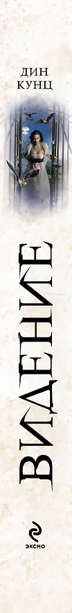 Книга Видение (Дин Кунц) — 3