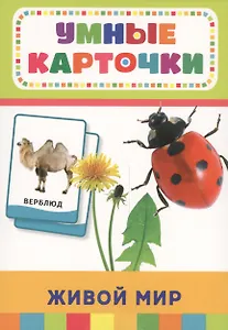 Живой мир (32 карточки в коробке)