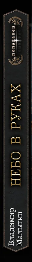 Книга Небо в руках (Владимир Малыгин) — 4