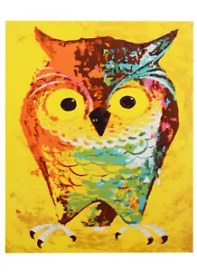 Набор д/творчества Рыжий кот Холст с красками 30х40см по номерам (в коробке) (19цв.) Разноцветная сова Х-2899