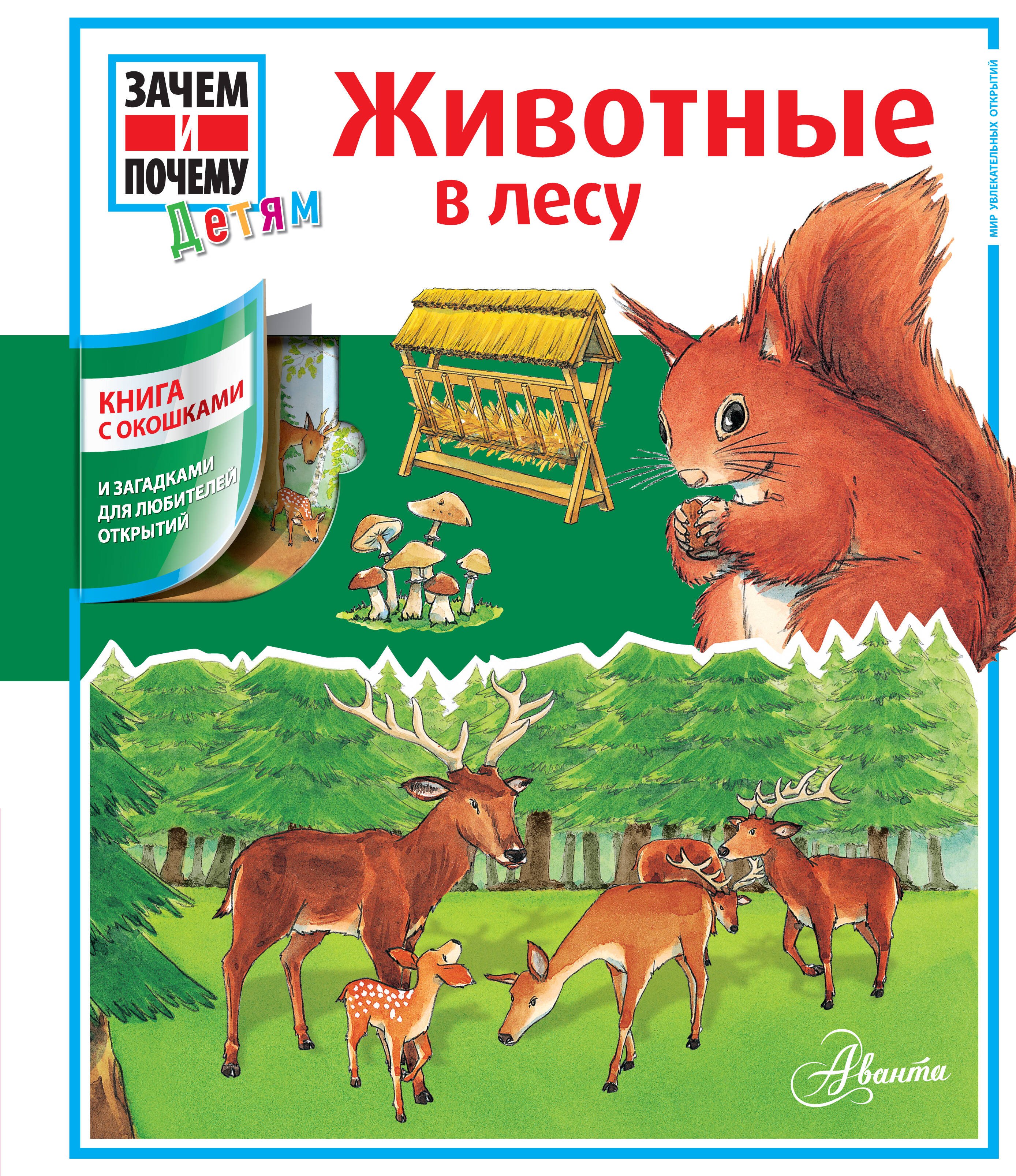 

Животные в лесу: книга с окошками