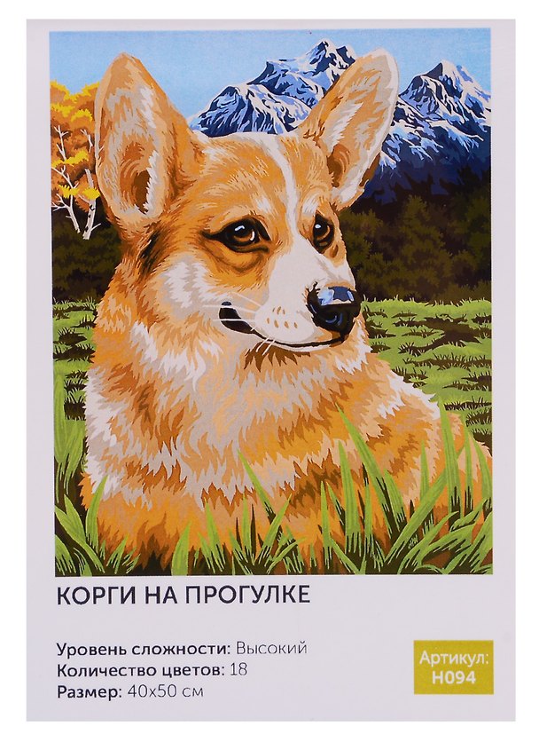Картина по номерам Art Idea 40*50см. Корги на прогулке H094 2726480 — 1