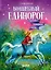 Волшебный единорог. Загадка Огненной горы. Книга 2 — 3106972 — 1