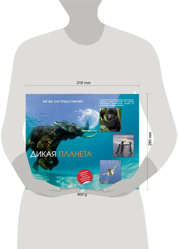 Книга Дикая планета () — 4