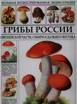Книга Большая иллюстрированная энциклопедия. Грибы России. (Сергей Афонькин)