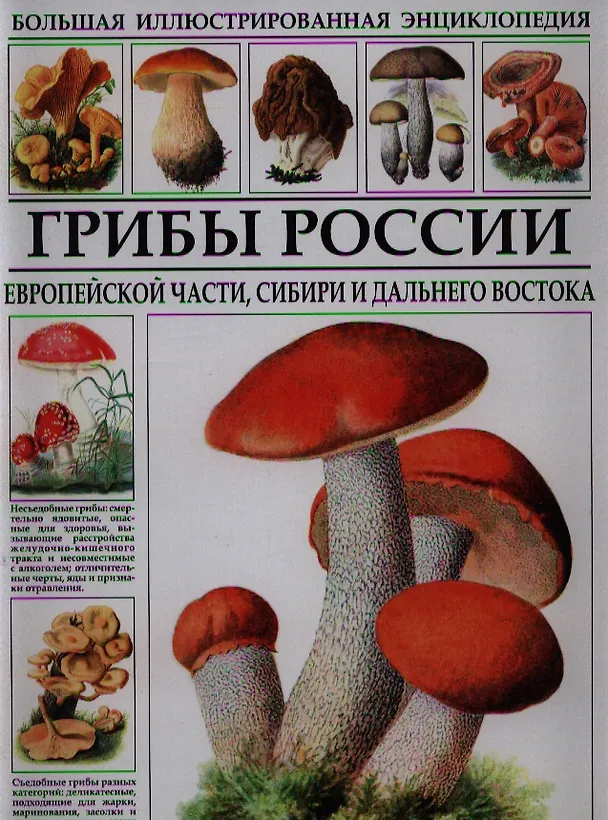Книга Большая иллюстрированная энциклопедия. Грибы России. (Сергей Афонькин) — 1