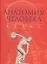 Анатомия человека Атлас Как работает наше тело Самый полный справочник (Абрахамс) — 2570252 — 1