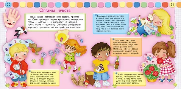 Книга Как мы устроены. Наше тело (Р. Барсотти) — 4