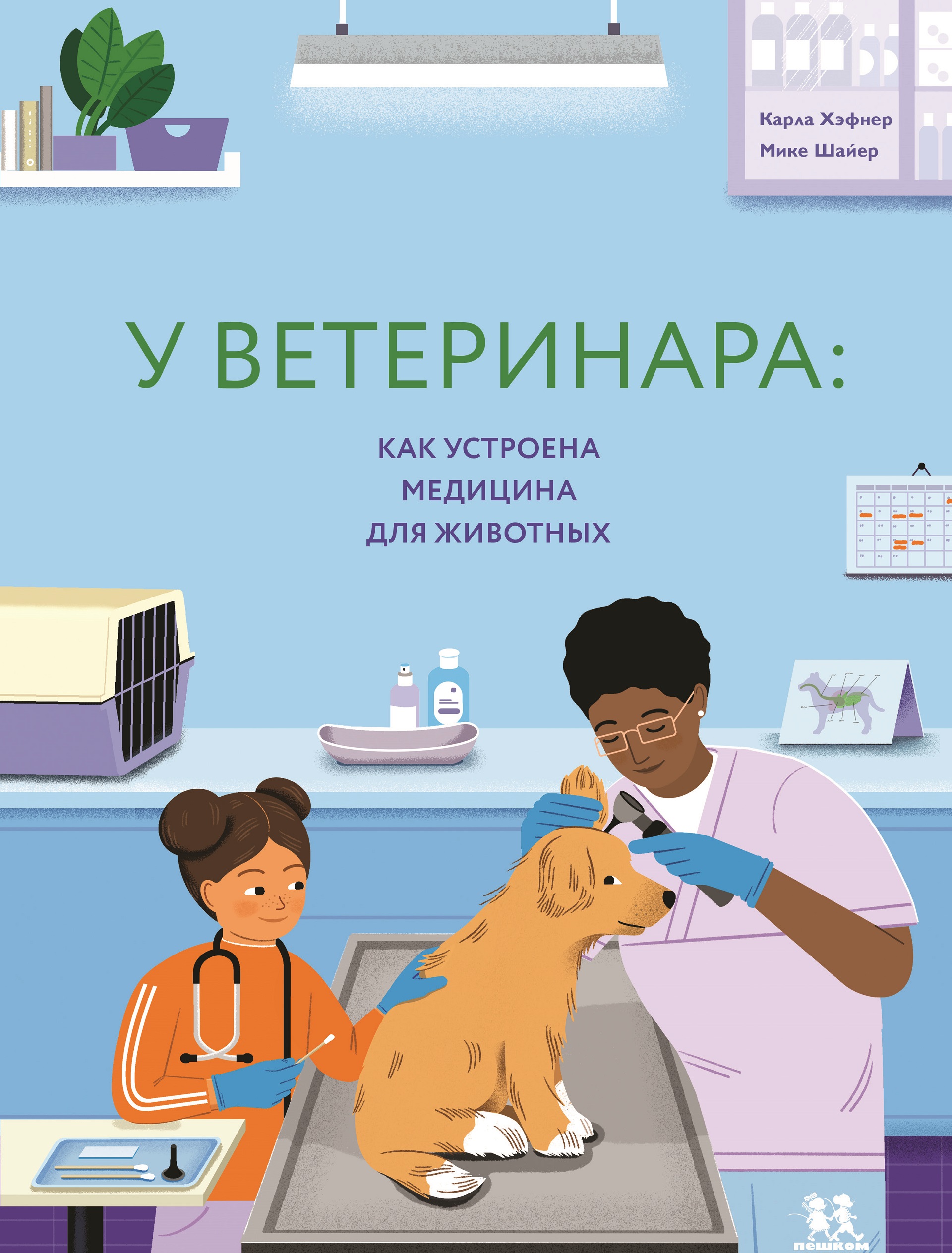 У ветеринара: как устроена медицина для животных
