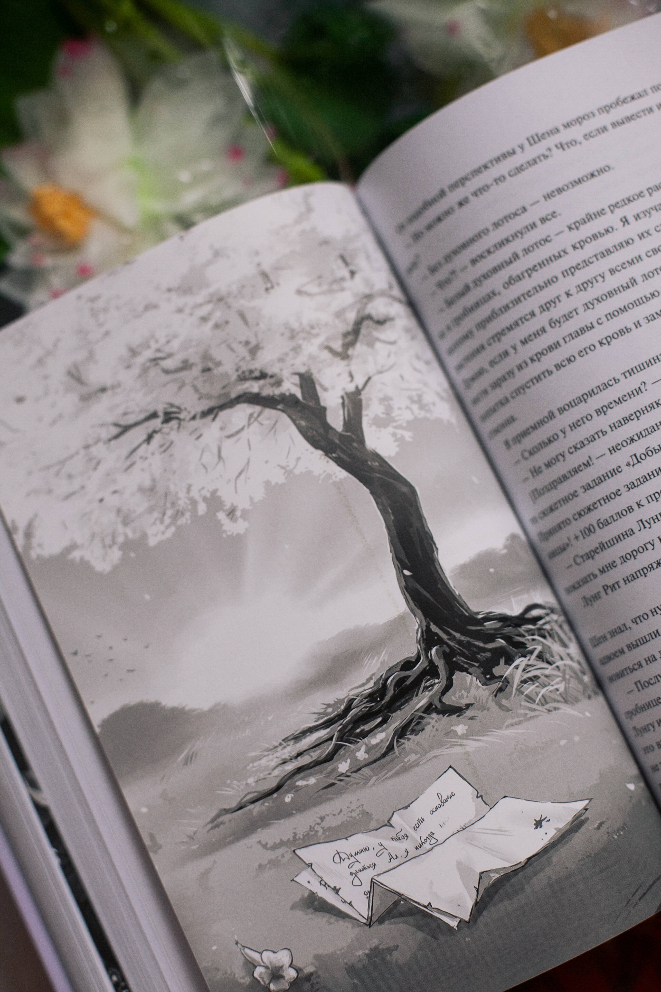 Изображение бумажной книги