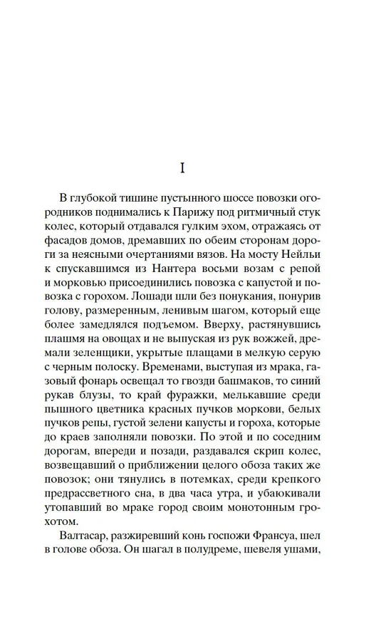 Книга Чрево Парижа (Эмиль Золя) — 10