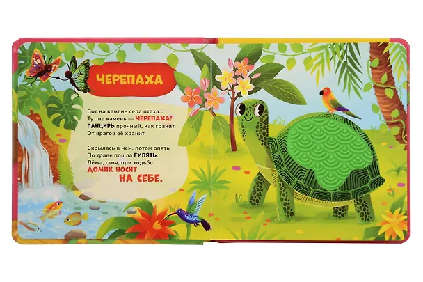 Книга В зоопарке. Тактильная книжка со стихами (Юлия Весова) — 3