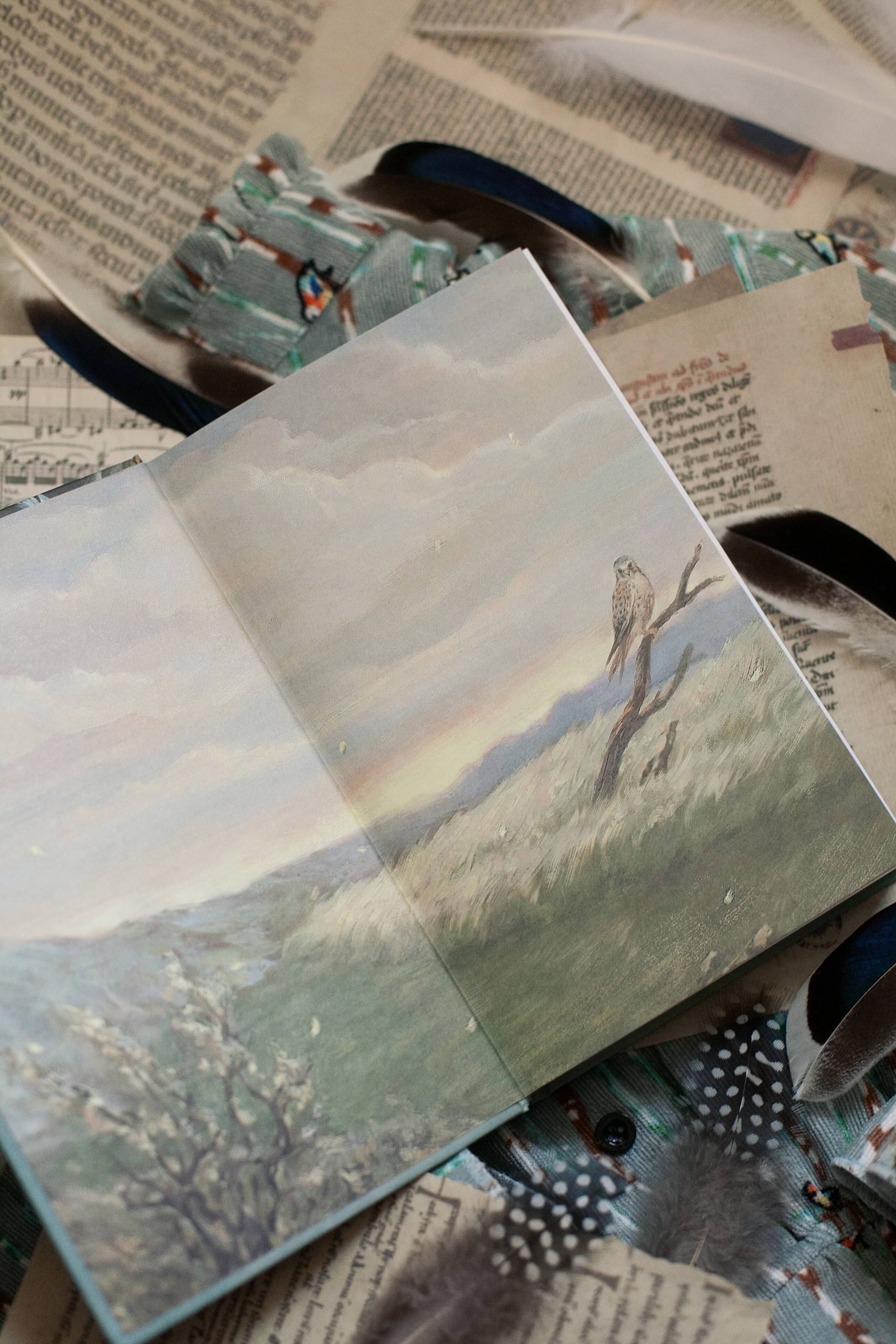 Изображение бумажной книги