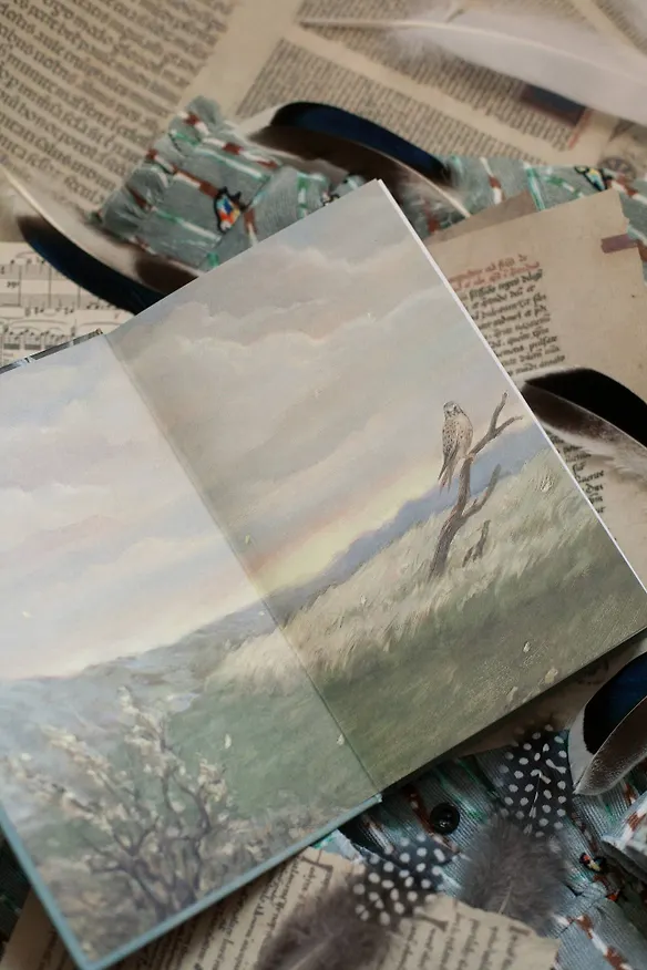 Книга Пташка (Ксения Скворцова) — 11