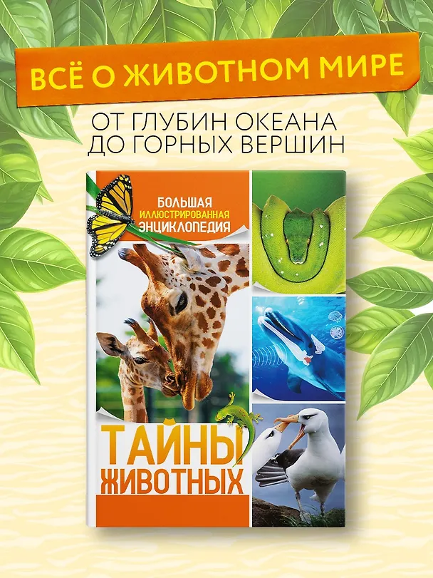 Книга Тайны животных. Большая иллюстрированная энциклопедия (Клаудио Бертонатти, Хавьер А. Перейра) — 5