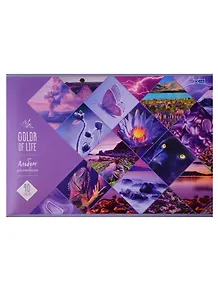 Альбом для рисования BG, Color of life, А4, 40 листов, на скрепке, в ассортименте