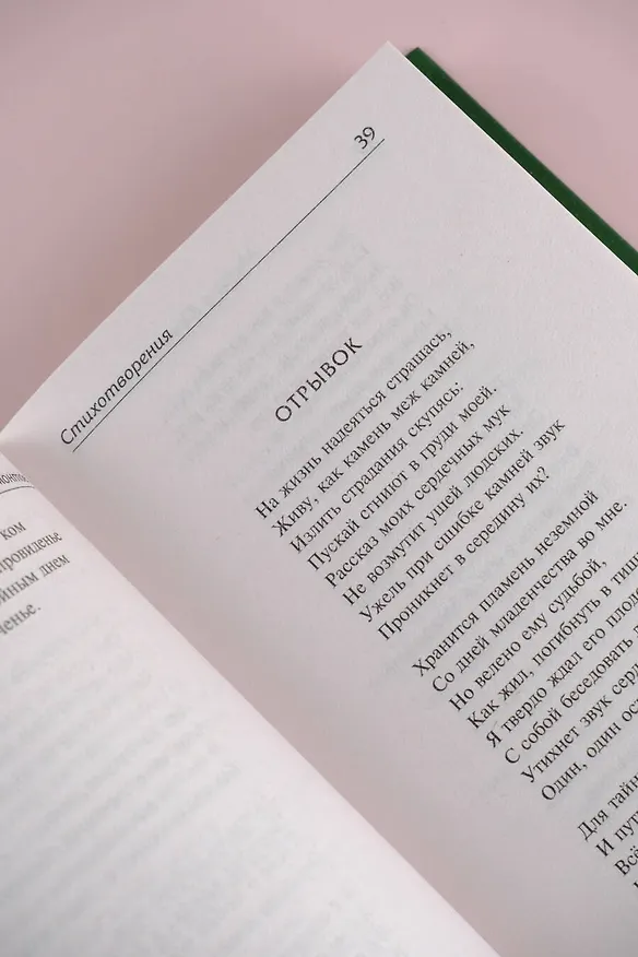 Книга Стихотворения и поэмы (Михаил Лермонтов) — 11