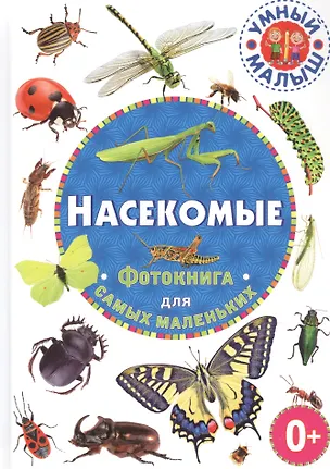 Книга Насекомые. Фотокнига для самых маленьких ()