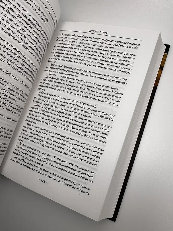 Книга Хроники Черного Отряда: Черный Отряд. Замок теней. Белая Роза (Глен Кук) — 13