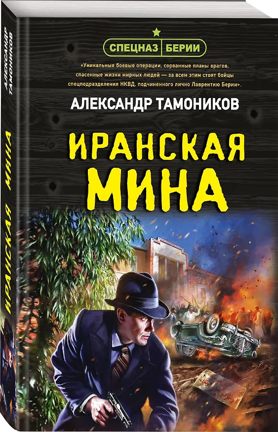 Книга Иранская мина (Александр Тамоников) — 5