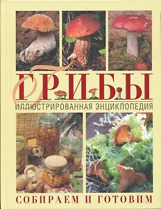 Грибы. Иллюстрированная энциклопедия. Собираем и готовим.