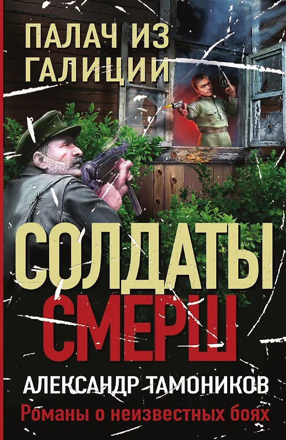 Книга Палач из Галиции (Александр Тамоников) — 1