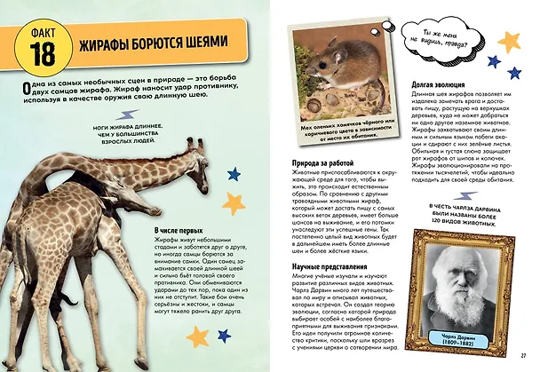 Книга Всё об окружающем мире с научной точки зрения (Лайза Риган) — 6