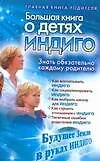 Книга Большая книга о детях индиго (Алина Березина)