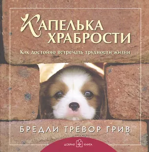 Книга Лучшему другу. Капелька храбрости. Как достойно встречать трудности жизни (комплект из 3 книг) ()