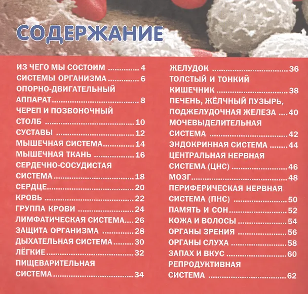 Книга Как устроен организм человека.Детская энциклопедия () — 2