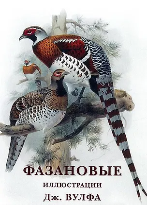 Книга Фазановые. Набор открыток ()