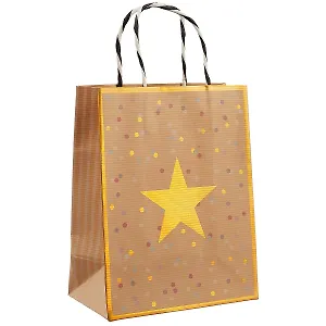 Пакет А5 23*18*10 "Asterisk" нейтр., бум.мат.ламинат