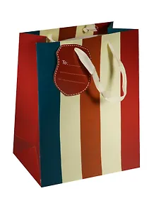Пакет подарочный бумажный А4 19*25*9 "Полоски", нейтр., разноцвет., мат. ламинат, Хансибэг