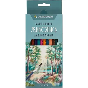 Карандаши цветные ВКФ, "Живопись", акварельные 24 цвета