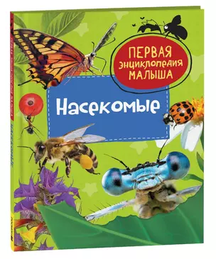 Насекомые. Первая энциклопедия малыша — 3071639 — 1