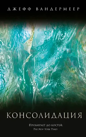 Книга Консолидация (Джефф Вандермеер)