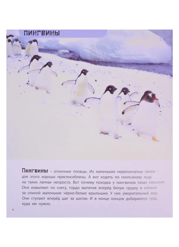 Книга Кто самый-самый? Удивительные животные (Мак Ван Гагельдонк) — 2