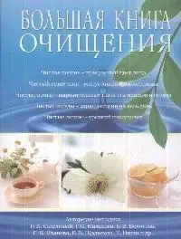 Большая книга очищения — 2173633 — 1