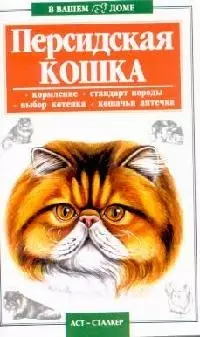 В вашем доме:Персидская кошка — 1881708 — 1