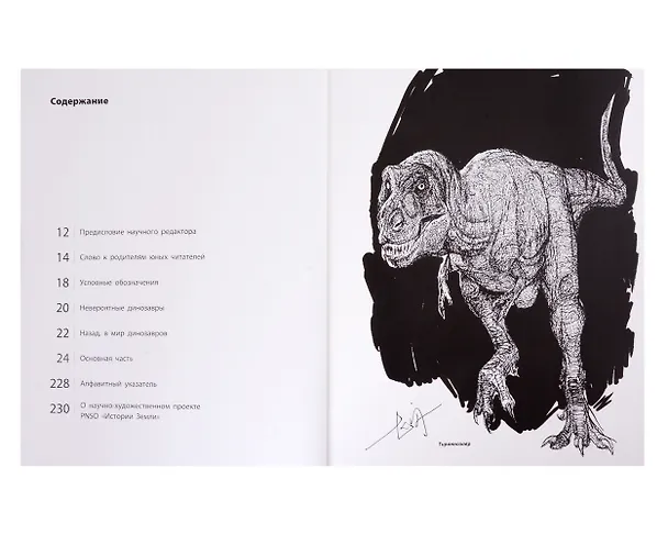 Книга Тайны сухопутных динозавров (Янг Янг) — 4