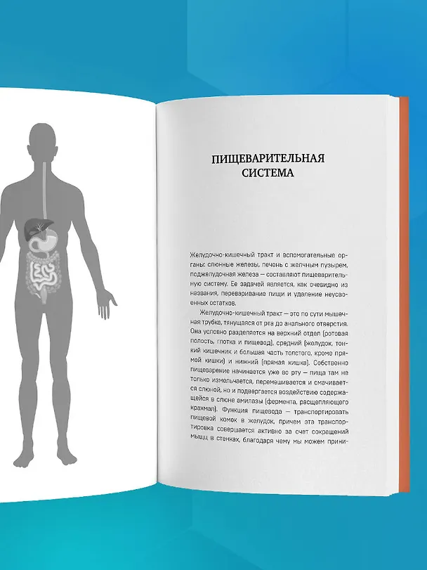 Книга Неотложка для немедиков. Пошаговые инструкции по оказанию помощи от врача скорой (Лариса Позднякова) — 11
