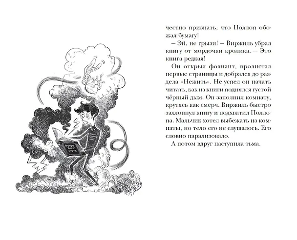 Книга Замок Дракулы (Наима Циммерманн) — 12
