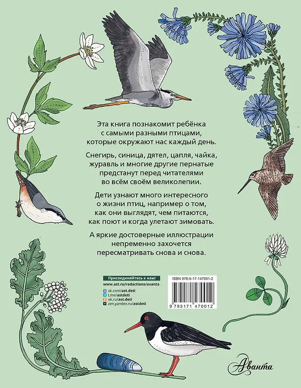 Книга Птицы (Эмма Янссон) — 2