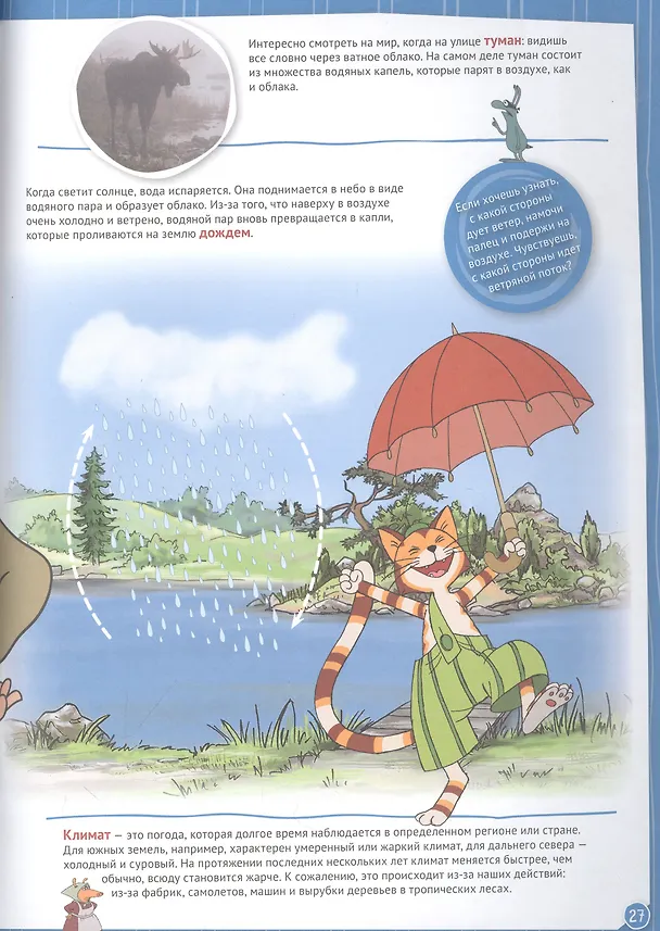 Книга Петсон и Финдус познают мир (Штеффани Корда, Свен Нурдквист) — 4