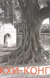 Кхи-конг. Древняя вьетнамская система физического и духовного развития личности