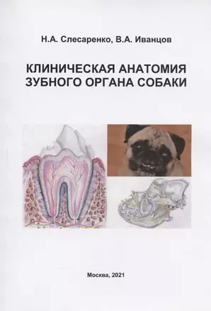 Клиническая анатомия зубного органа собаки. Учебно-методическое пособие — 2910250 — 1