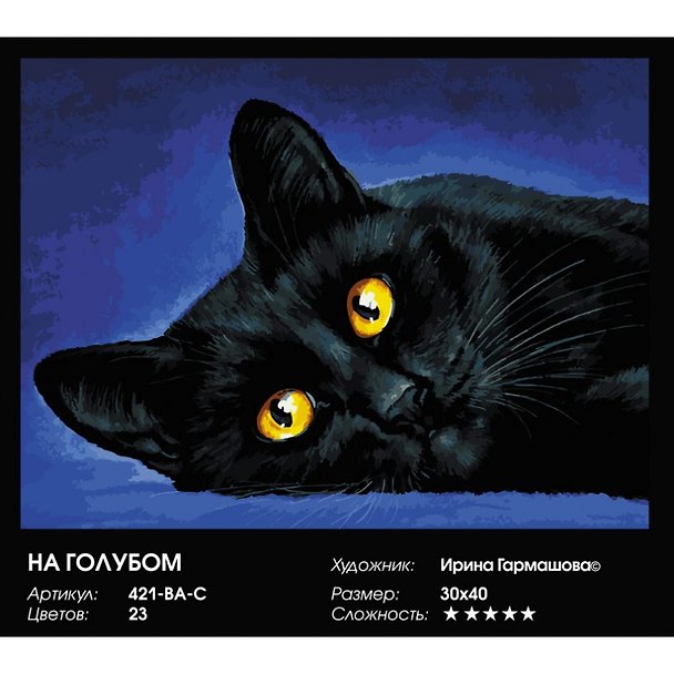 Набор для творчества Живопись на холсте 30х40см На голубом 421-BA-C 2874689 — 1